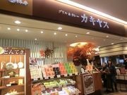 т񂳂̃OJ[@JLX EXPASAݏX̓eʐ^1