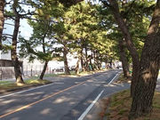 ͂邤炳̋X؂̓eʐ^1