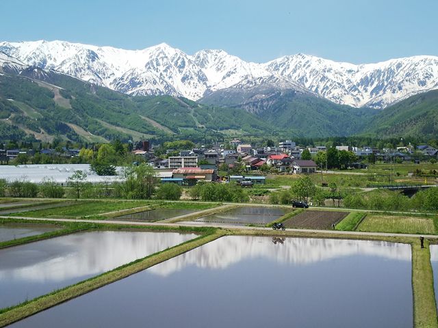 白馬岳 白馬岩岳ガイド/白馬観光開発株式会社