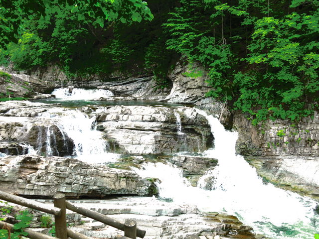 �O�i��_�O�i��