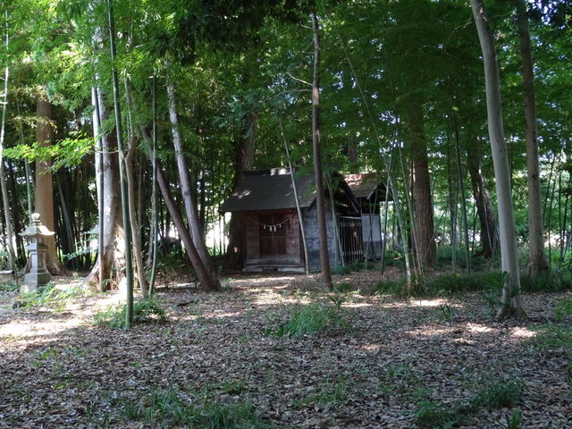 ^񂳂̏RiOcِՁj̓eʐ^1