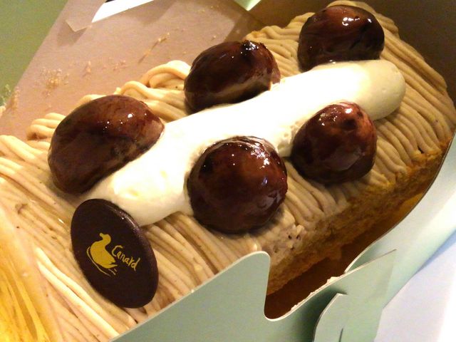 ڂ̃Ji[ ˒˃fB(܂邢HVٌ˒˓X)̓eʐ^1