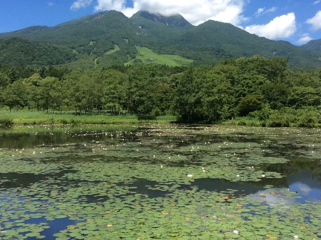 ��i�I_���������i������r�j