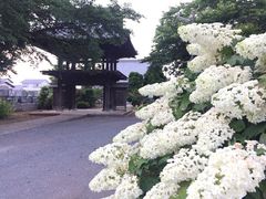 �݂�����̉ؑ����ւ̓��e�ʐ^1