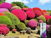 񂳂̒ߕ̂̓eʐ^3