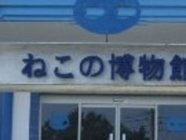 �˂��̔�����_�˂��̔�����