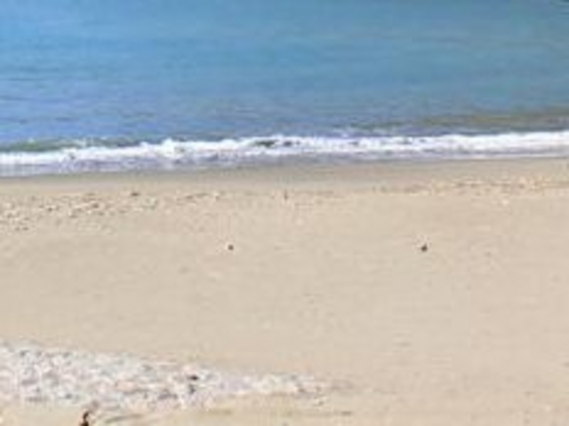 �t���X�s�[�h����̉F�v�{�C������̓��e�ʐ^1