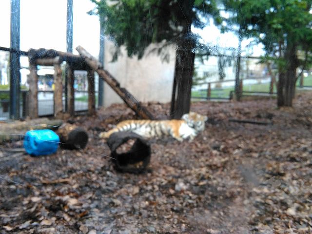 ��_���R������