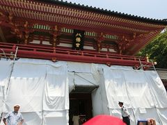 �ɂ��ǂ񂳂�̂ւ̓��e�ʐ^3