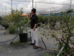 ̂̕vSakura@Berryf@Gardenix[YK[fjւ̓eʐ^1