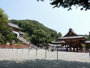 �ɂ��ǂ񂳂�̒߉������{�Q�q�ҋx�e���̓��e�ʐ^2