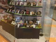 񂯂񂳂̉Ƒ c_X̓eʐ^1