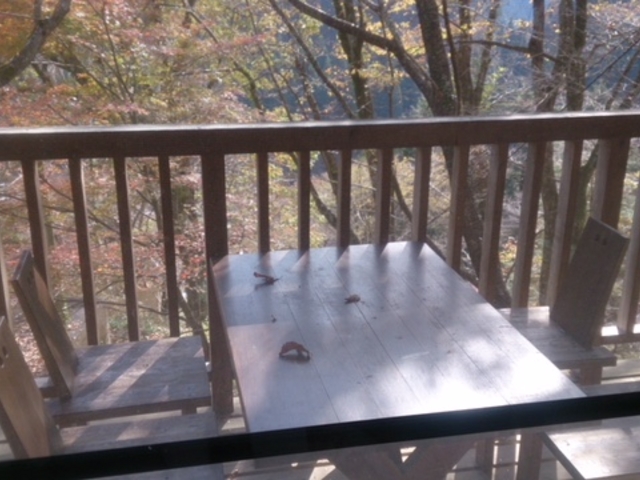 �e���X_�␶�Ƒ����s��