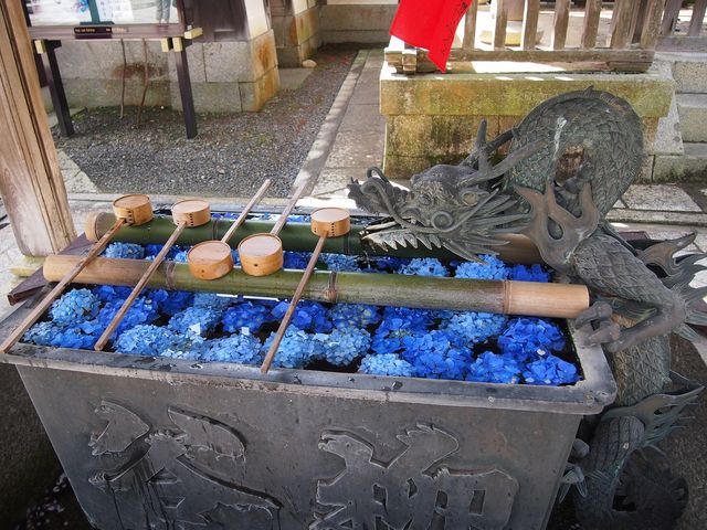 ���z�Ԃ̎萅_���J�ω��k�J��