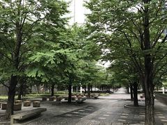 �҂�����̕i��Z���g�����K�[�f���ւ̓��e�ʐ^1