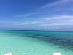 T񂳂̈ɗǕEnւ̓eʐ^1