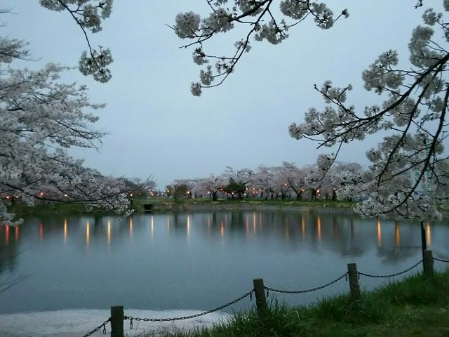 ������Y��ł��B_���c�����̍�