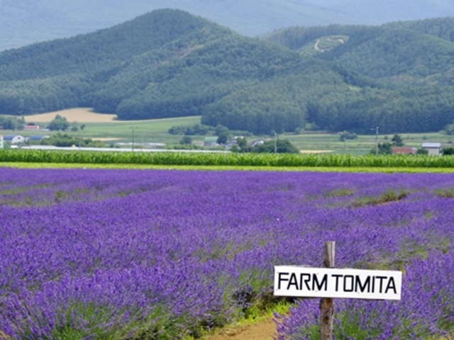 ikwssm̃t@[xc x_[C[Xg̓eʐ^1