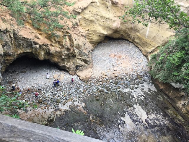 �n�[�g_���{�A