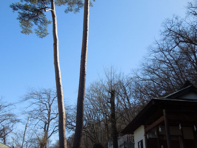 QPIN̈ɍېXьV̓eʐ^1