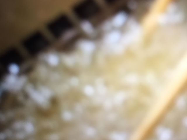 }񂳂̋ƕ LABI痢X̓eʐ^1