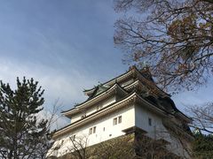 Ă΂܂܂̘a̎Rւ̓eʐ^1