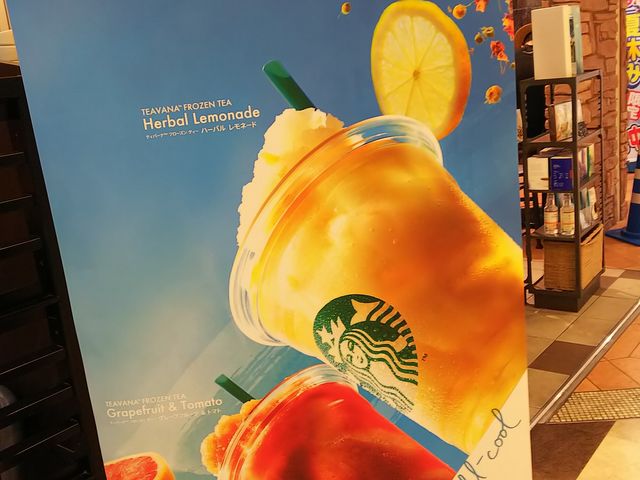 X^[obNX_X^[obNXR[q[X