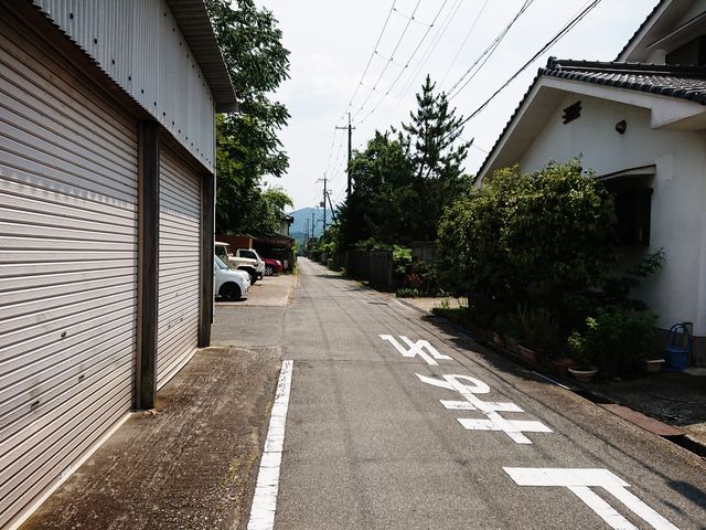 �R�̒�����_�O�g�R�����^�T�C�N���E�R�ό��ē���