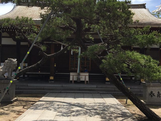 �����������ĎQ�q���܂��B_�Z�g�_��