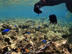 Kofa@and PuPuւ̓eʐ^1