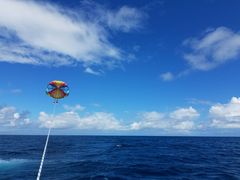 ȂCoCoMarineւ̓eʐ^1