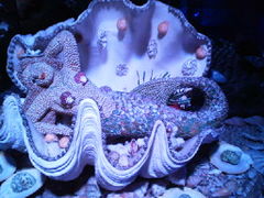 傤̒|t@^W[قւ̓eʐ^1