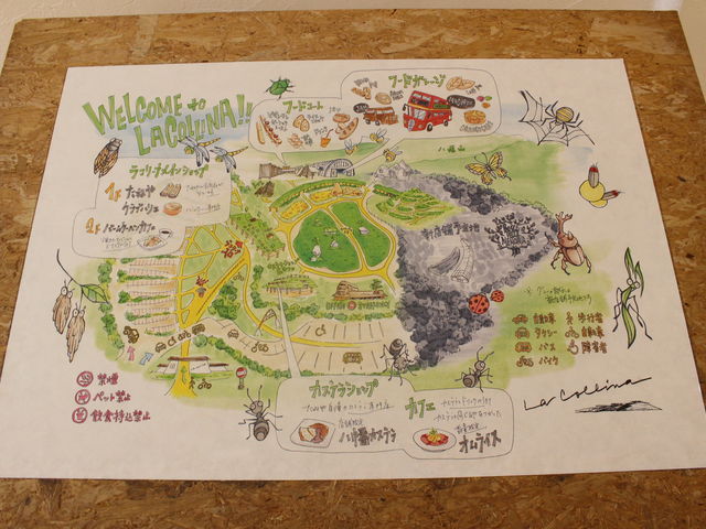 �}�b�v_���R���[�i �ߍ]����