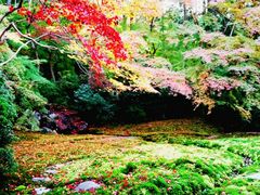 v[񂳂̗ڗ@ւ̓eʐ^1