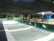 Ȃ񂳂̗{VkJ̉w̗̓eʐ^2