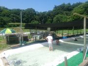 Ȃ񂳂̗{VkJ̉w̗̓eʐ^3