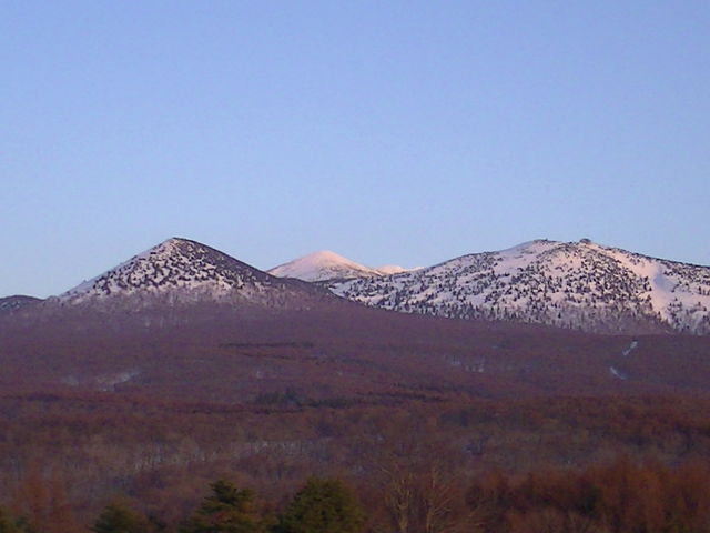 ���썂���ӂ�i�ӓ~�j_���b�c�R