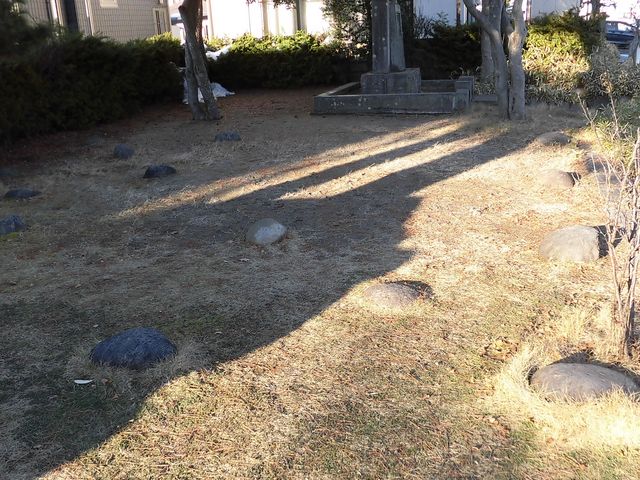 ڂ肳̍쒷pa̒n̓eʐ^2