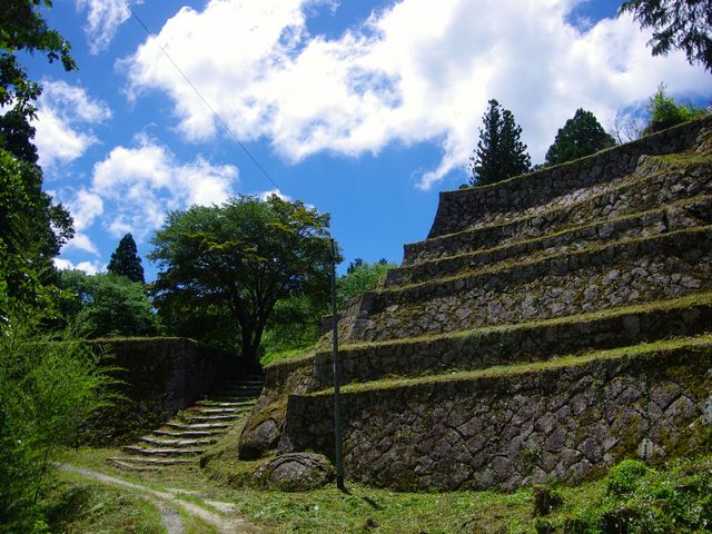 �⑺��́u�Z�i�ǁv_�⑺���