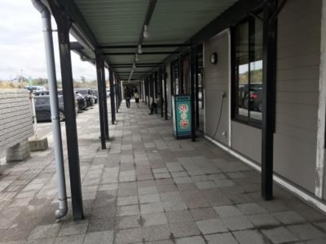 �������_��鉷��@�`�̓�