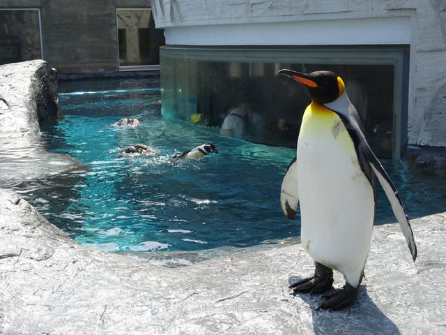 �y���M�������������I_���R������