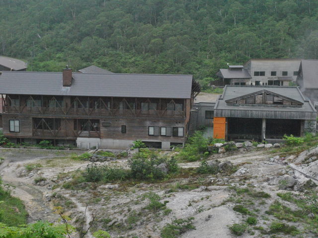 �C���I�k�v���̉��R���Ƀp�`���B�ܐF���򗷊قł��B_�j�Z�R�ܐF����