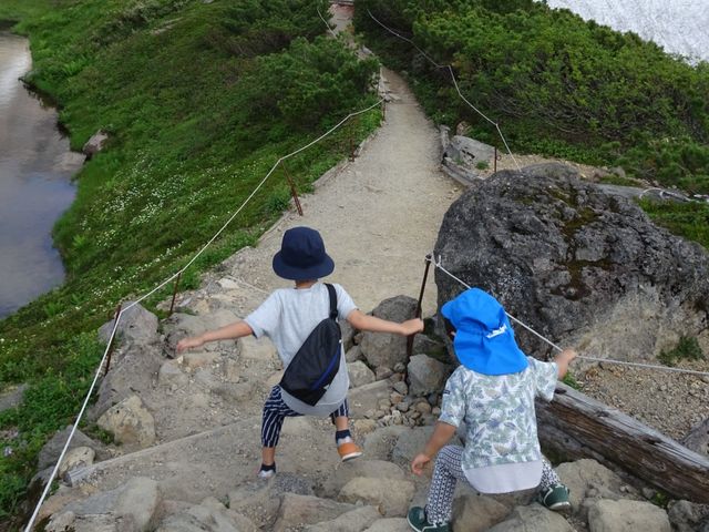 北海道大雪山　旭岳ロープウェイ往復券　1枚