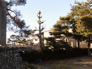 ڂ肳̍쒷pa̒n̓eʐ^1