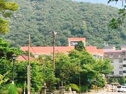 G̉_݂ǃze{ق̓eʐ^1