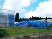 ˂񂳂̐jeXفỉwjTERESj̓eʐ^6