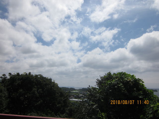 �C���i�F�S_�|���m�b�g�W�]��