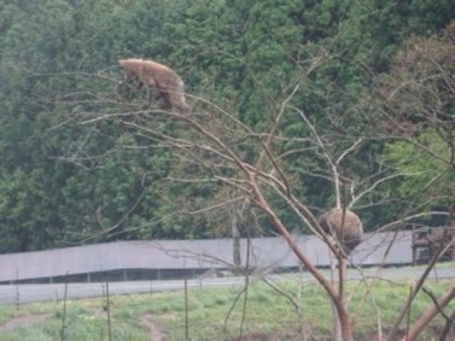 �q�O�}_�H�g�䎩�R���������T�t�@�������h