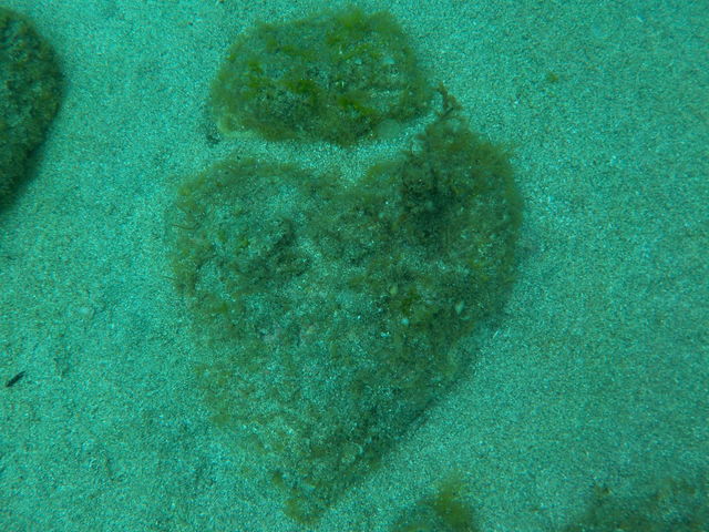 �n�[�g�Ɍ������_�R�A�C�݃W�I�p�[�N�_�C�r���O�X�N�[��