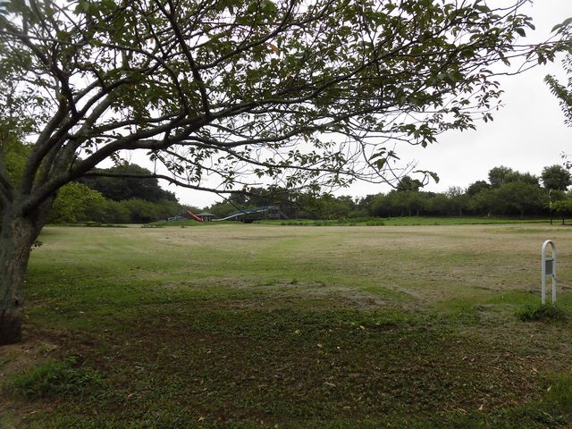 dai-neko̖،隬R̓eʐ^1